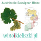 Degustacja komentowana - Austria kraj wybitnych Sauvignon Blanc