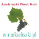 Degustacja Austriacki Pinot Noir Degustacja Austriacki Pinot Noir