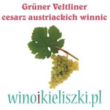 Degustacja Komentowana - Grüner Veltliner