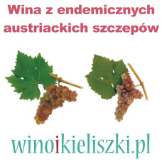 Degustacja - Wina z rzadkich austriackich szczepów Degustacja - Wina z rzadkich austriackich szczepów