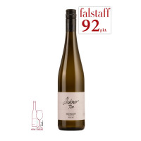 TD Riesling Inzersdorf Traisental DAC 2021