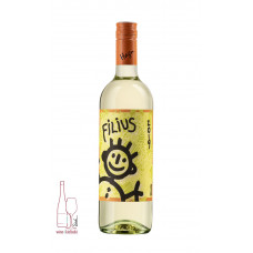 HG Grüner Veltliner Filius 2020