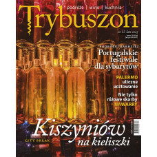 Trybuszon nr 13