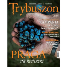 Trybuszon nr 14