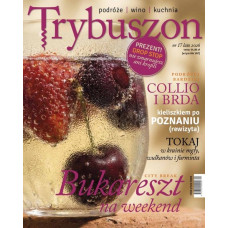 Trybuszon nr 17