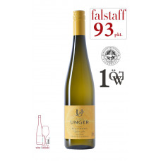 PU Riesling Gaisberg 1ÖTW  Kremstal DAC Reserve 2021