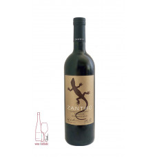 WZ  St.Laurent  Reserve 2017