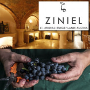 WEINGUT ZINIEL